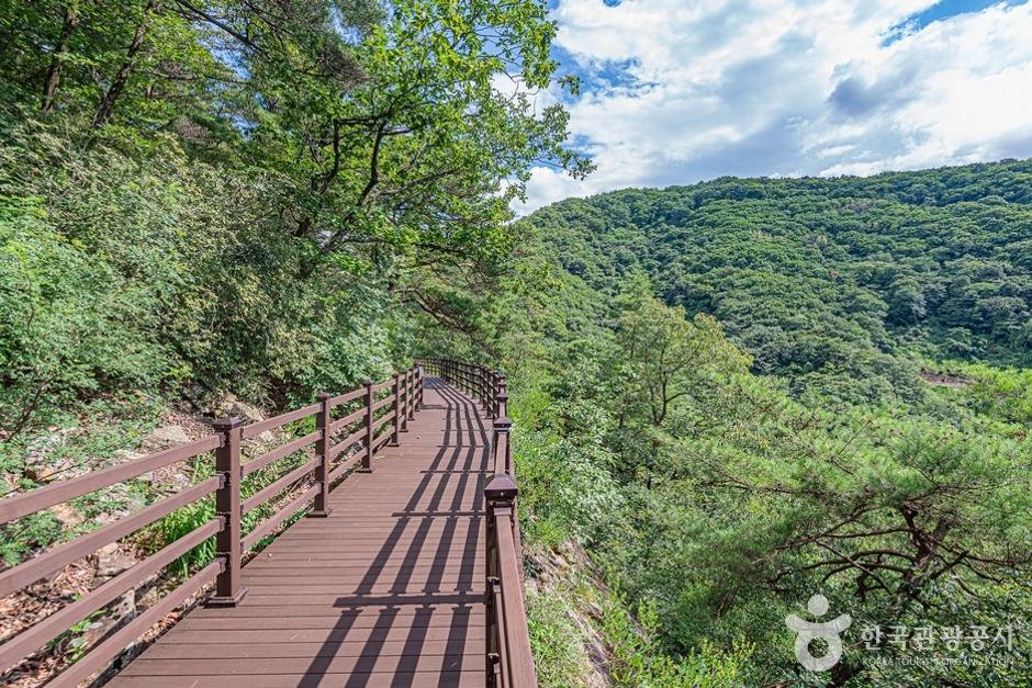  내륙의 바다를 손쉽게 누리는 제천 청풍호