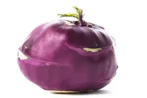 콜라비