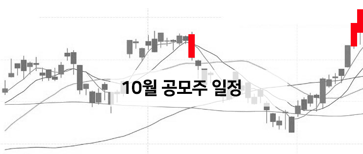 10월 공모주 청약