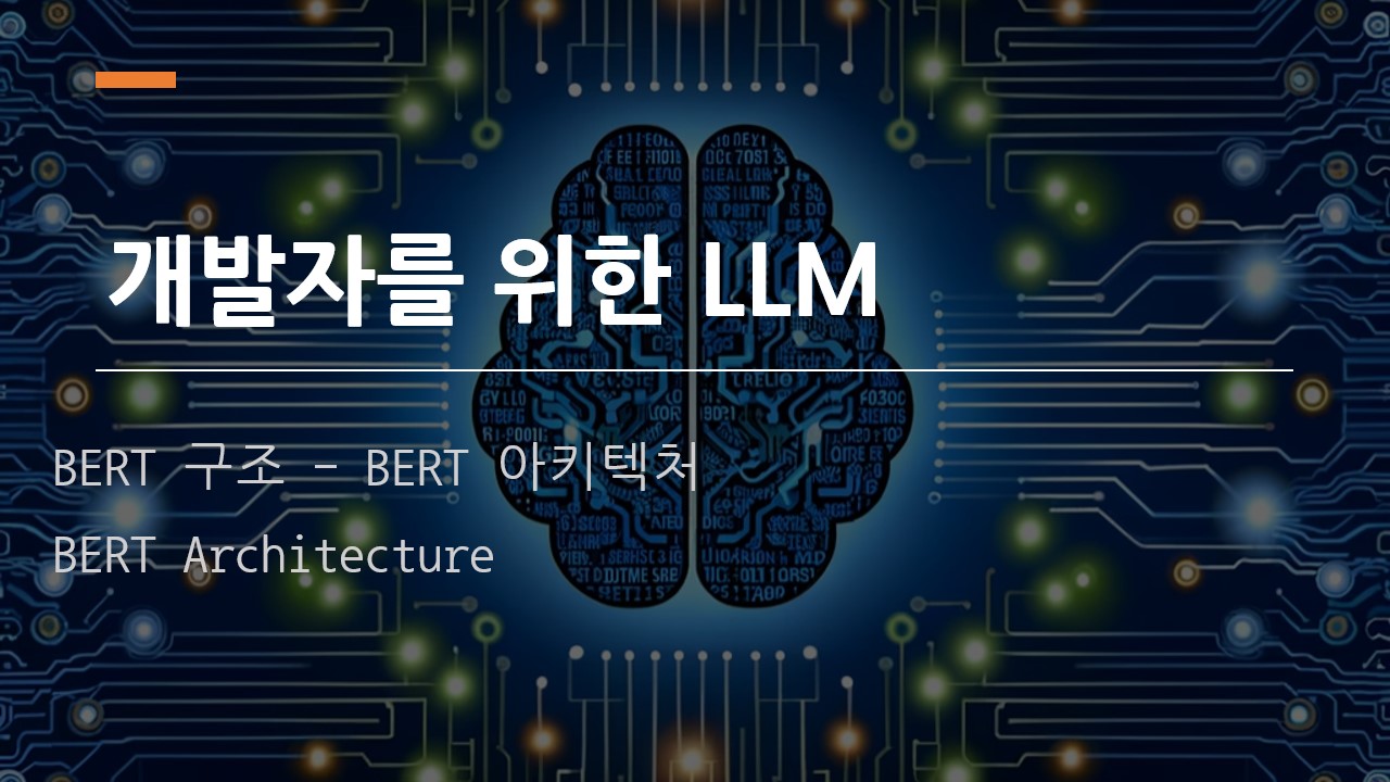  [개발자를 위한 LLM] BERT 구조