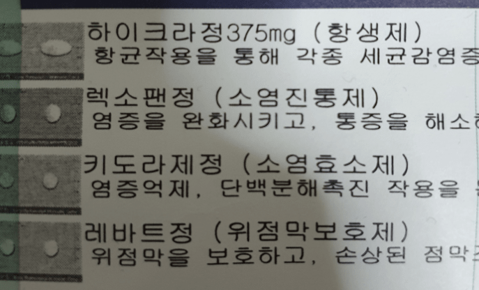  렉소팬정 최소한 이정도는 알고 먹자