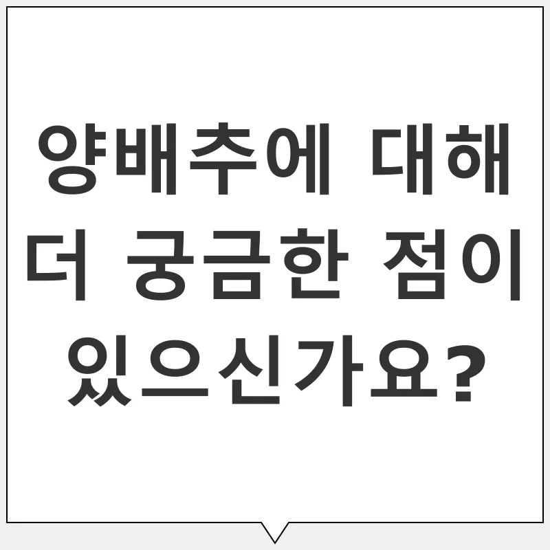 양배추 건강 효능_4