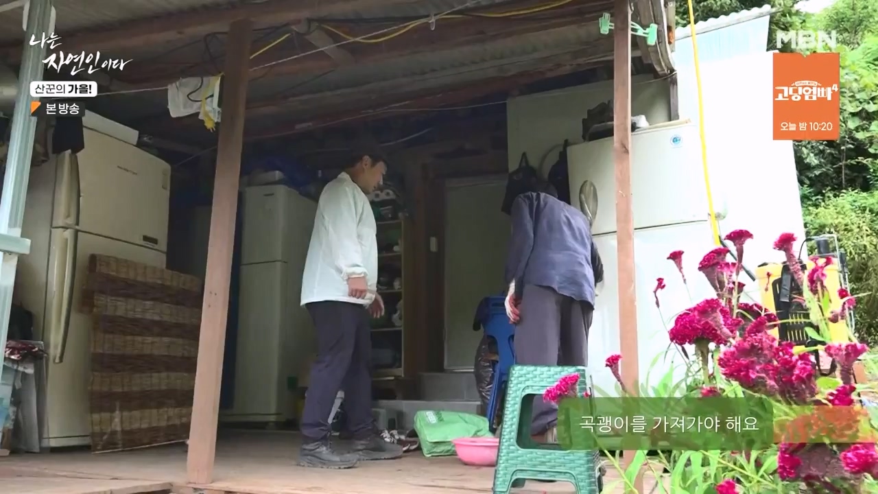 나는 자연인이다.E574.231005p-NEXT.mp4_20231005_200550.814.jpg