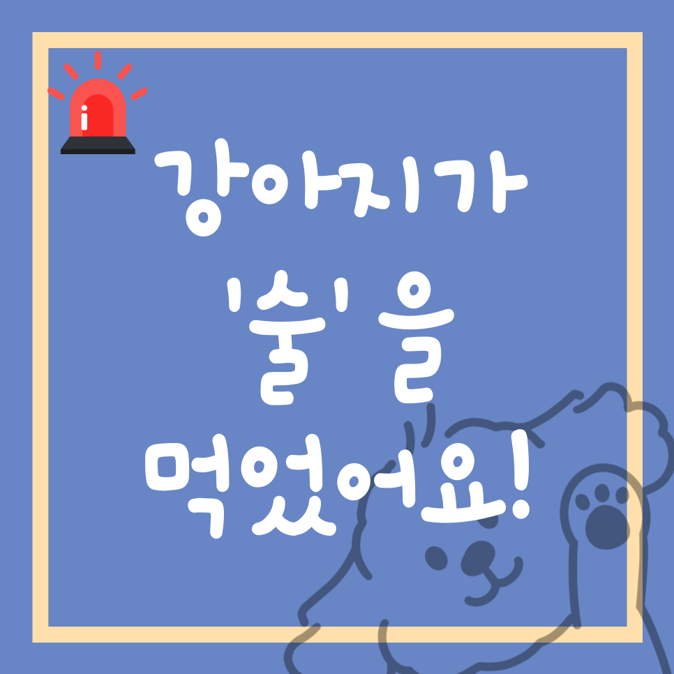 dog-alcohol