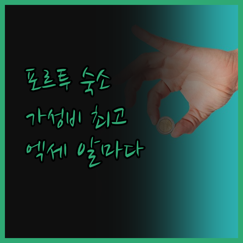 포르투 여행, 숙소 고민 끝! 가성비