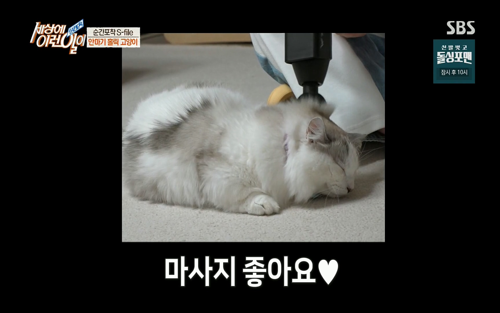 순간포착 세상에 이런일이.E1186.220628p.H264-F1RST.mp4_20220629_201019.527.jpg