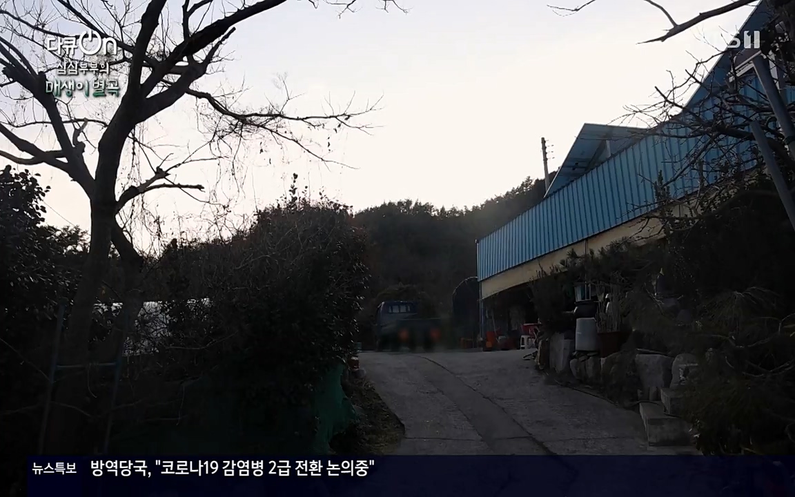 다큐 온.E131p-NEXT.mp4_20220319_174015.139.jpg