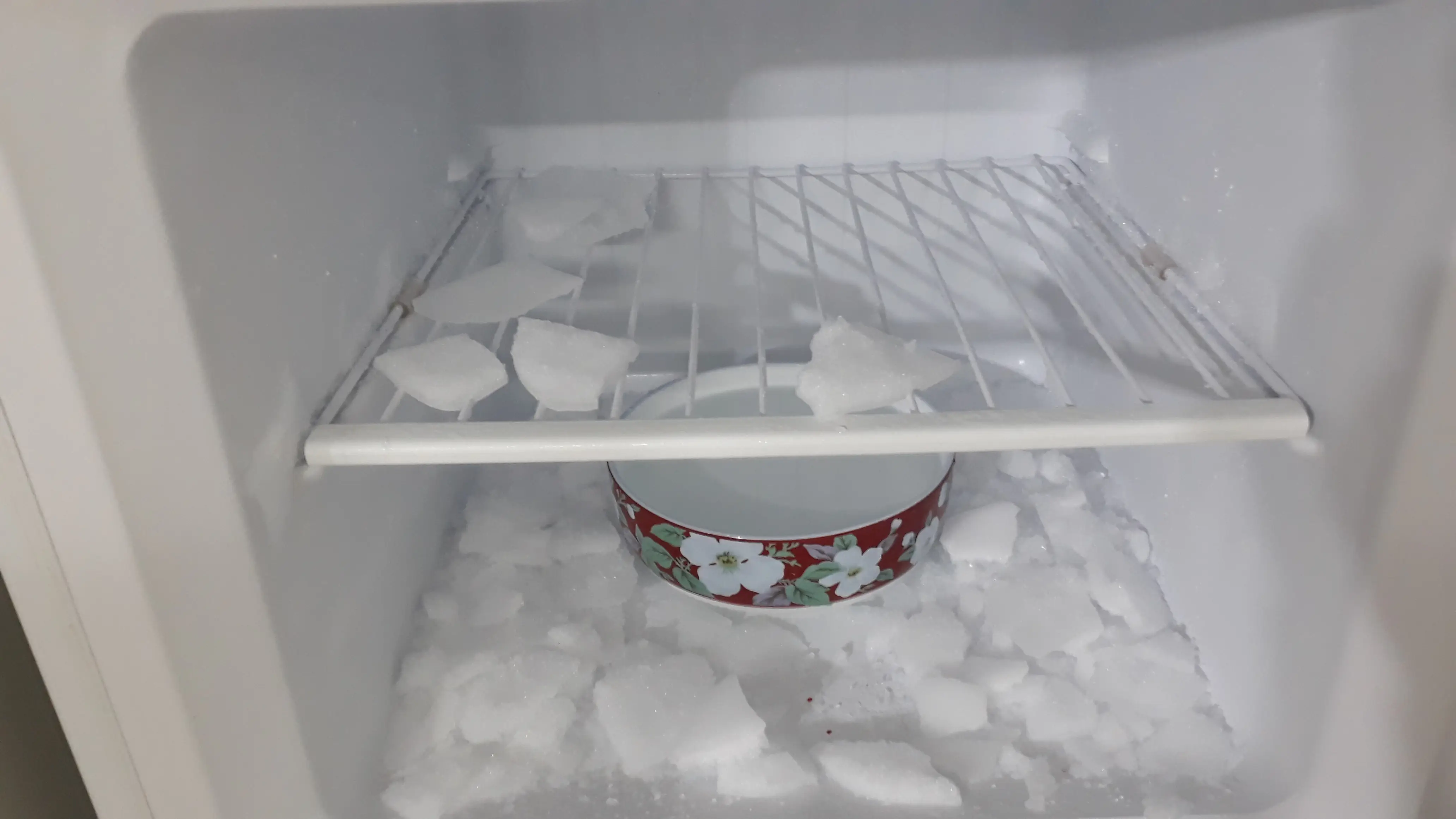 서리 기록적인 가을