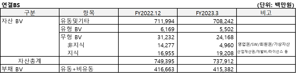 다날(2023.3)의 연결BS를 정리한 표