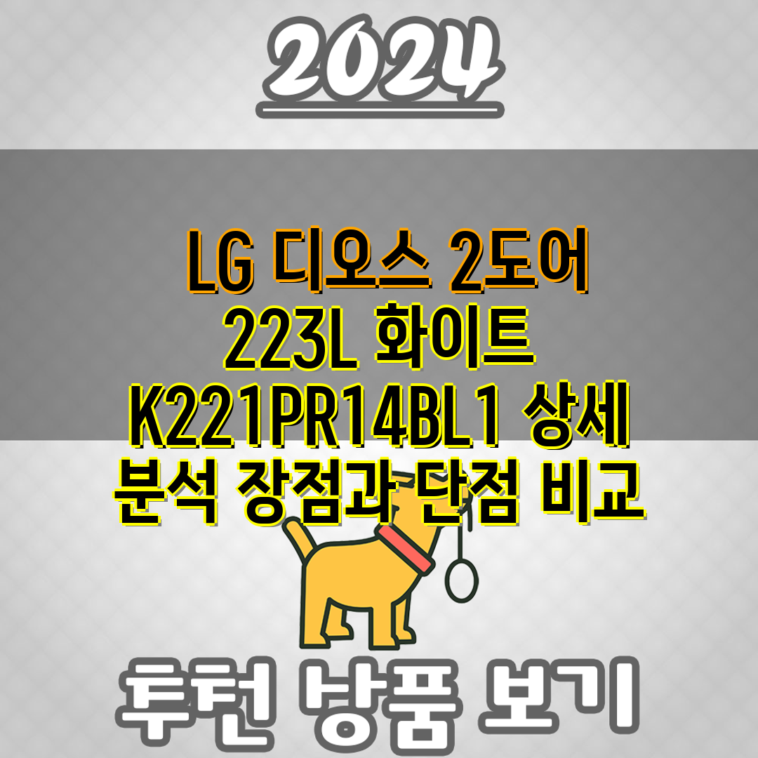  LG 디오스 2도어 223L 화이트 K221PR14B