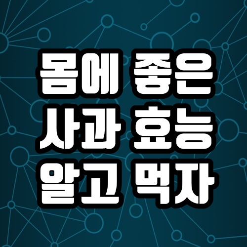  사과 효능 사과 칼로리 몸에 좋고 맛도 좋은 사과