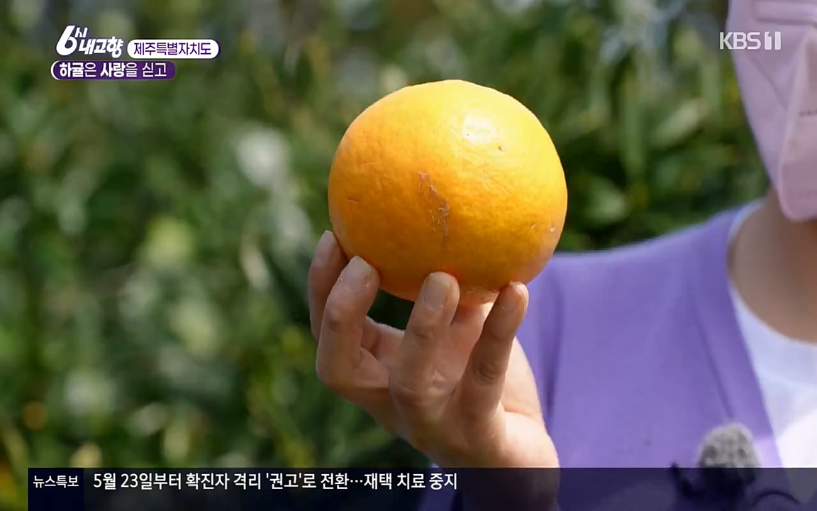 6시 내고향.E7523.220421p-NEXT.mp4_20220507_181107.188.jpg