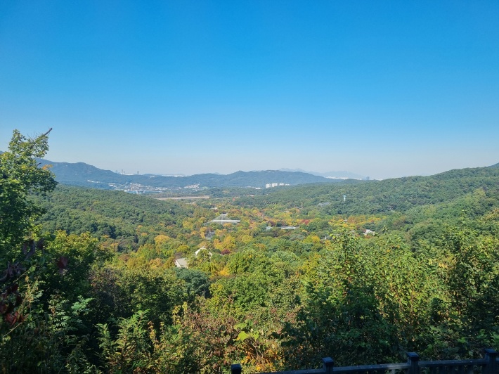 전망대