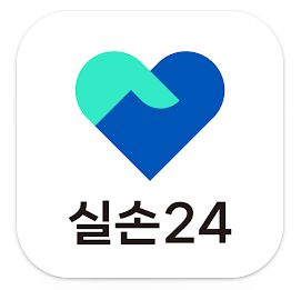 실손24