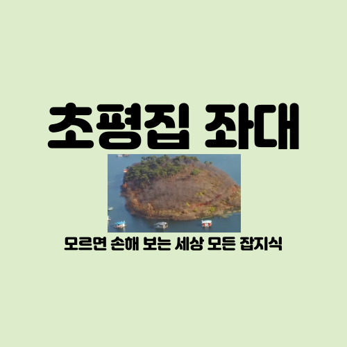 초평집좌대