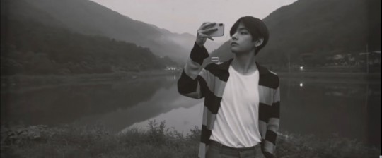 방탄소년단 뷔 팬들, 아이돌 팬덤 최초로 곰 구출 프로젝트 참여