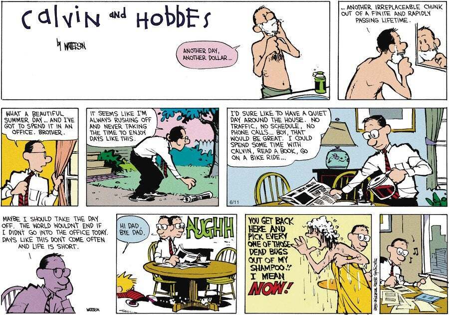 &quot;dollar&quot;, Calvin and Hobbes