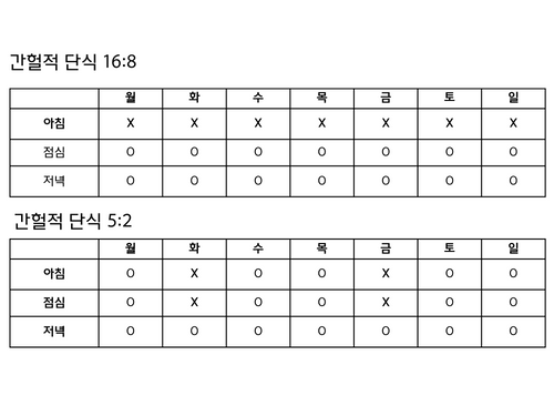 간헐적 단식 시간표