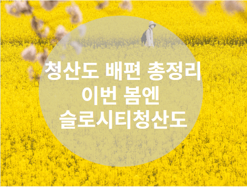 캐슬 피크 아일랜드 페리