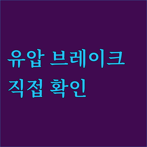DEEPOWER H20PRO 전기 자