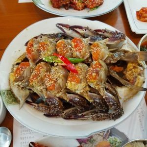 점심메뉴 추천