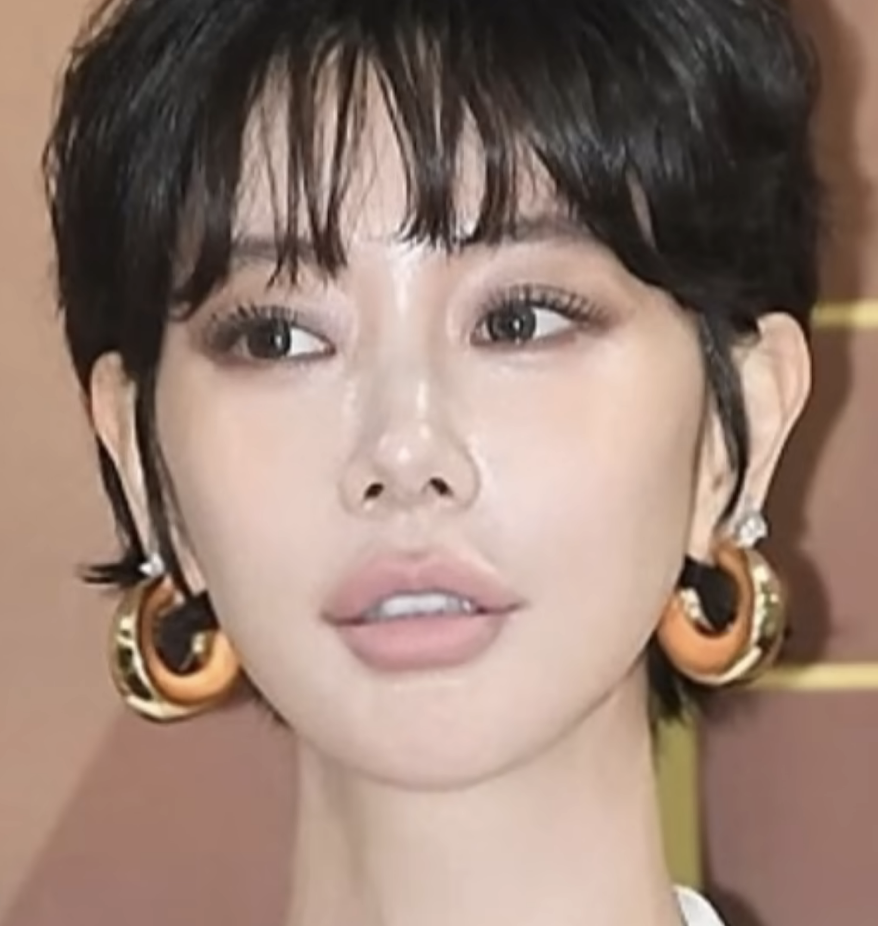 “성형이 이렇게 무섭네요..” 우리가 알던 얼굴이 아니라는 연예인 TOP4 4