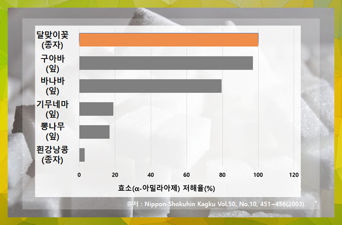 gi지수 GI지수 낮은 음식, 4