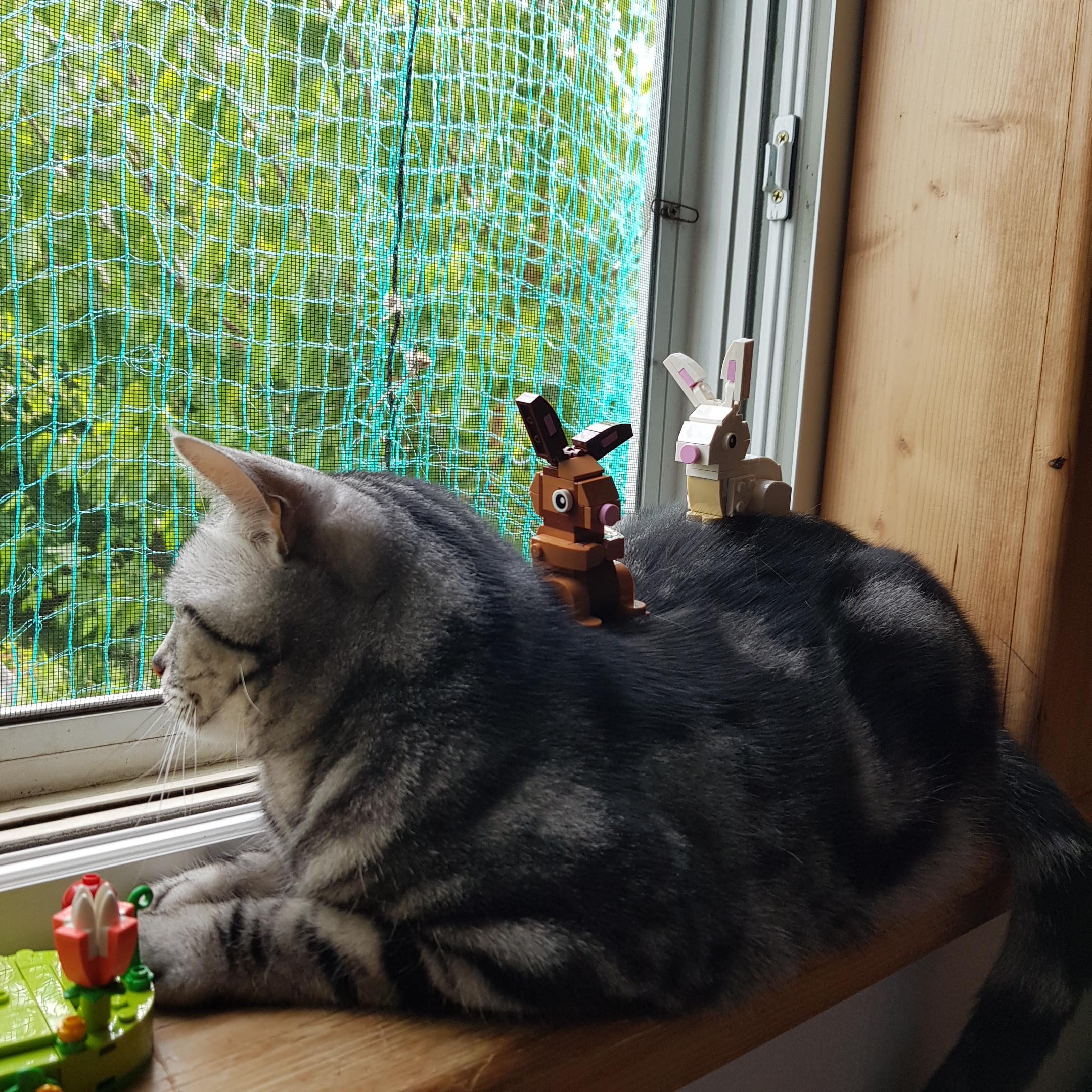고양이위에 갈색과 흰 토끼 레고가 올라가 있다