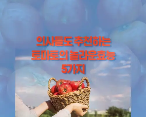 토마토 이로운점
