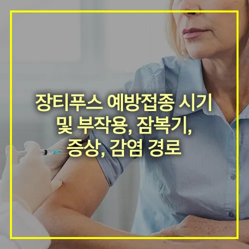 장티푸스 예방접종 시기 부작용 잠복기 증상 감염경로