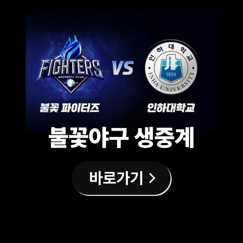 불꽃야구 생중계 보러가기