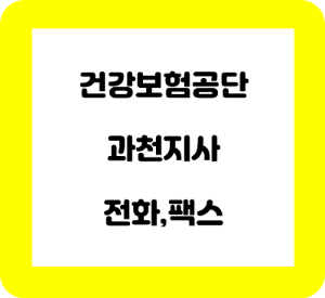 건강보험공단 과천지사