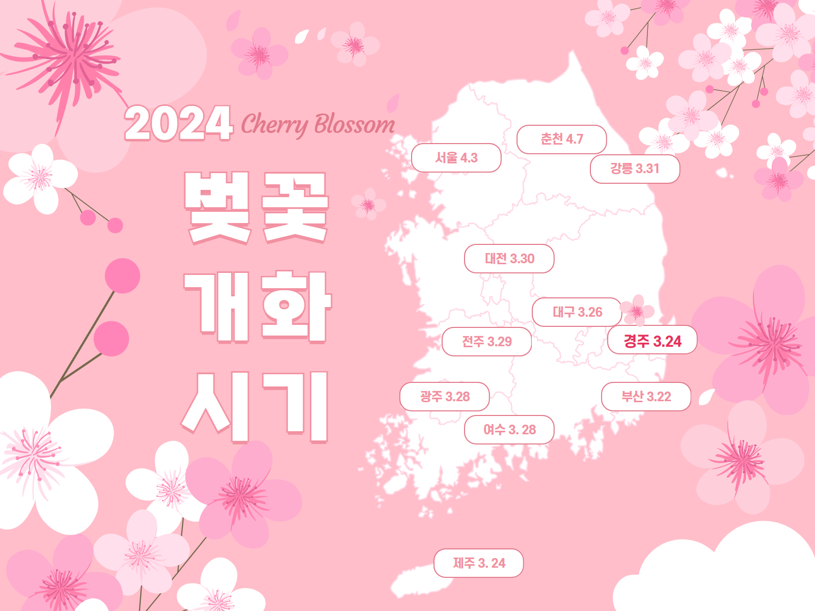 2024-벚꽃개화시기