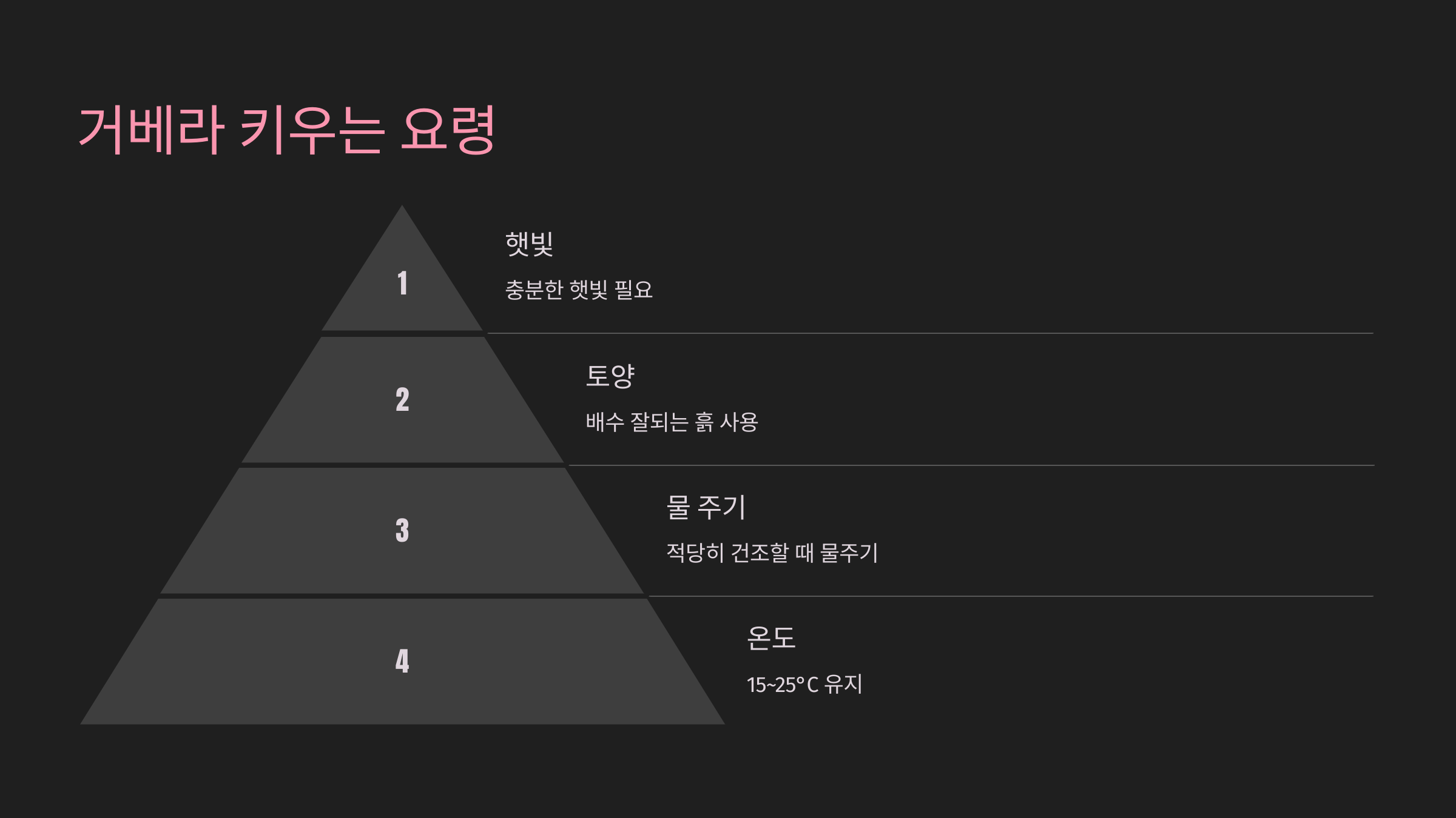 거베라 키우는 요령