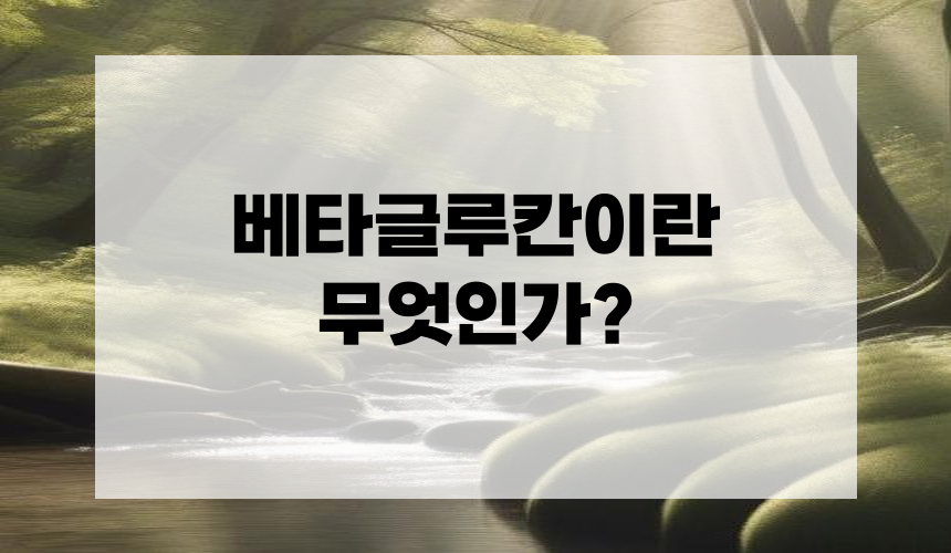 베타글루칸이란 무엇인가?