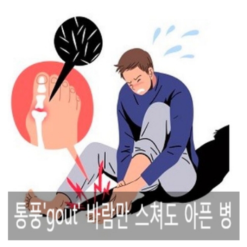  통풍 아플통 바람풍 바람만 스쳐도 아픈 병