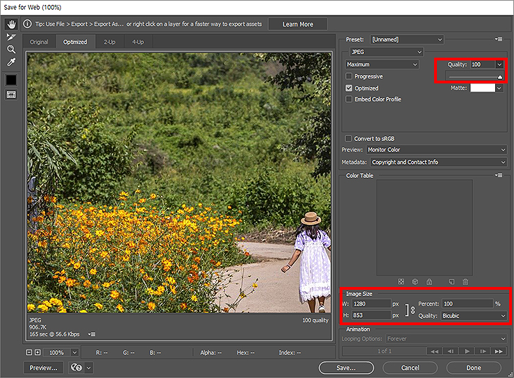 웹용으로 저장하기