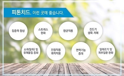  피톤치드원액사용법 셀프입주청소 후기~
