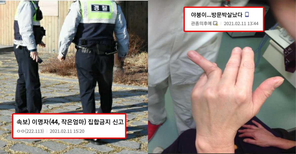  2021년 디씨인들의 명절 레전드 모음
