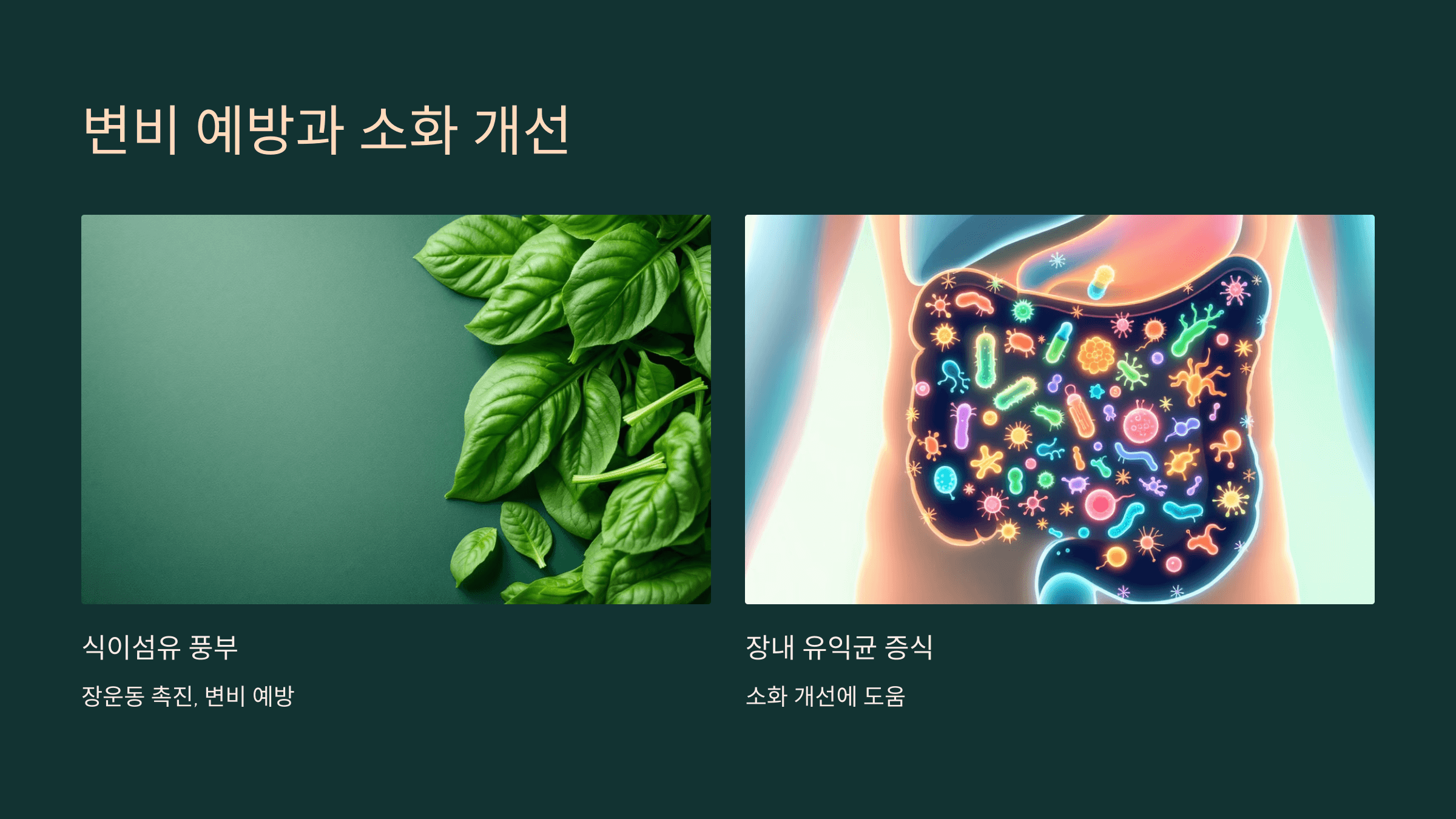 시금치 사진입니다.