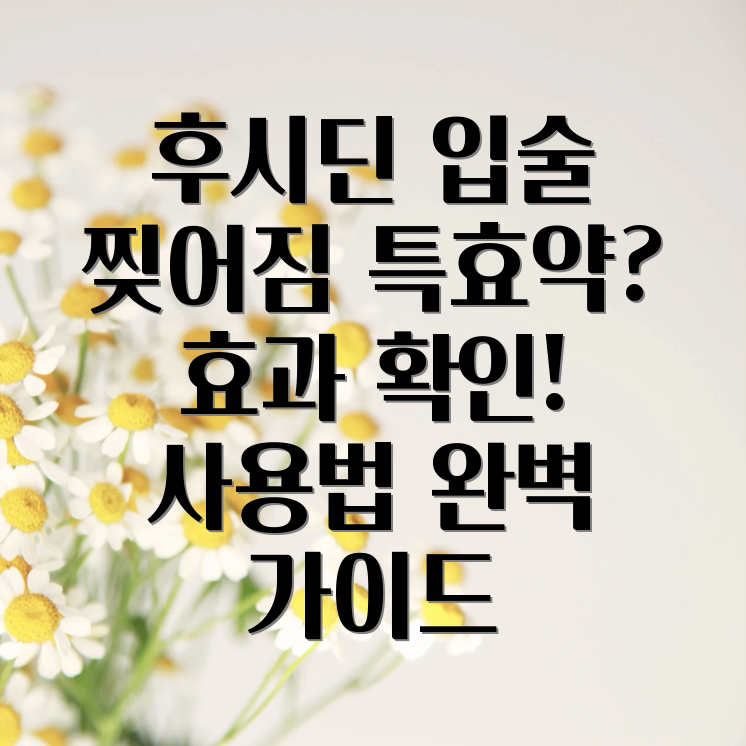 후시딘 연고 입술 찢어짐