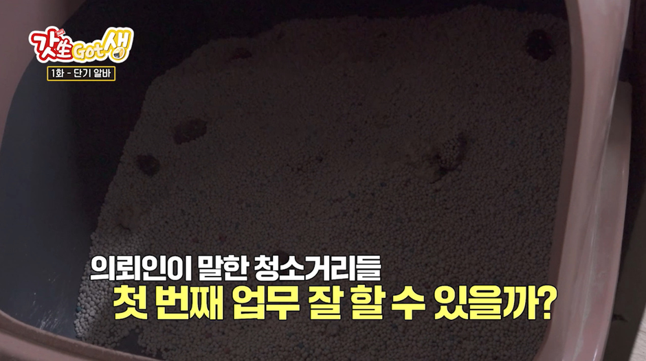 요즘 강아지 산책 한번 시켜주고 받는 비용...jpg | 인스티즈