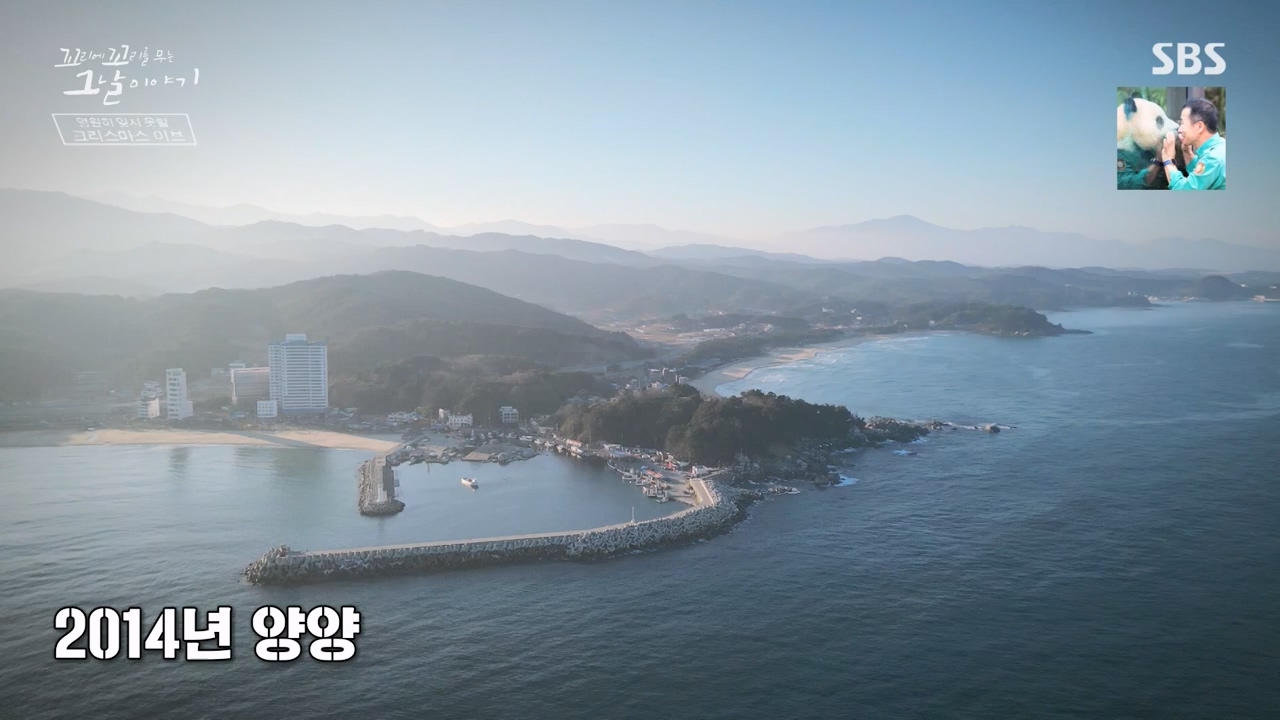 꼬리에 꼬리를 무는 그날 이야기.E119.240315p-NEXT.mp4_20240316_151037.409.jpg