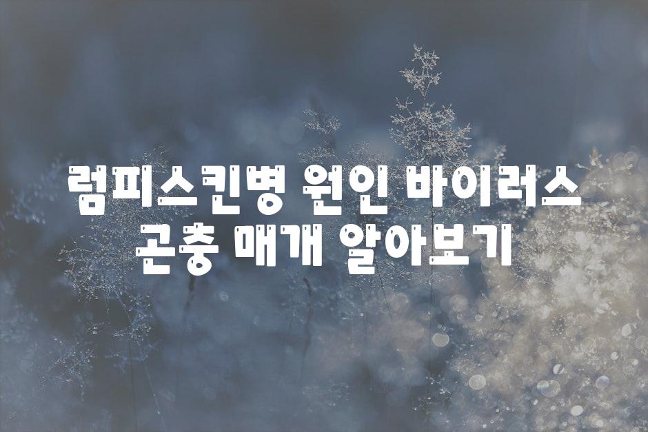 럼피스킨병 원인 바이러스 곤충 매개 알아보기