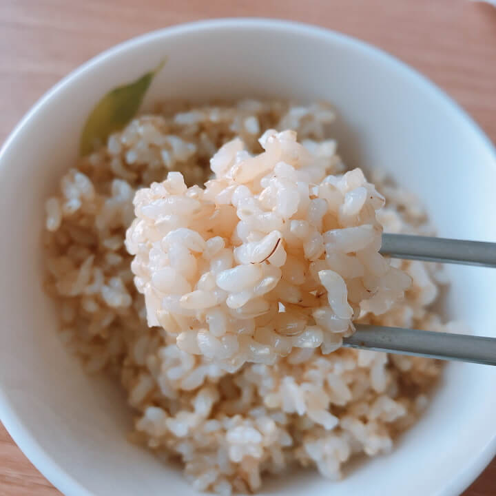 잡곡현미밥