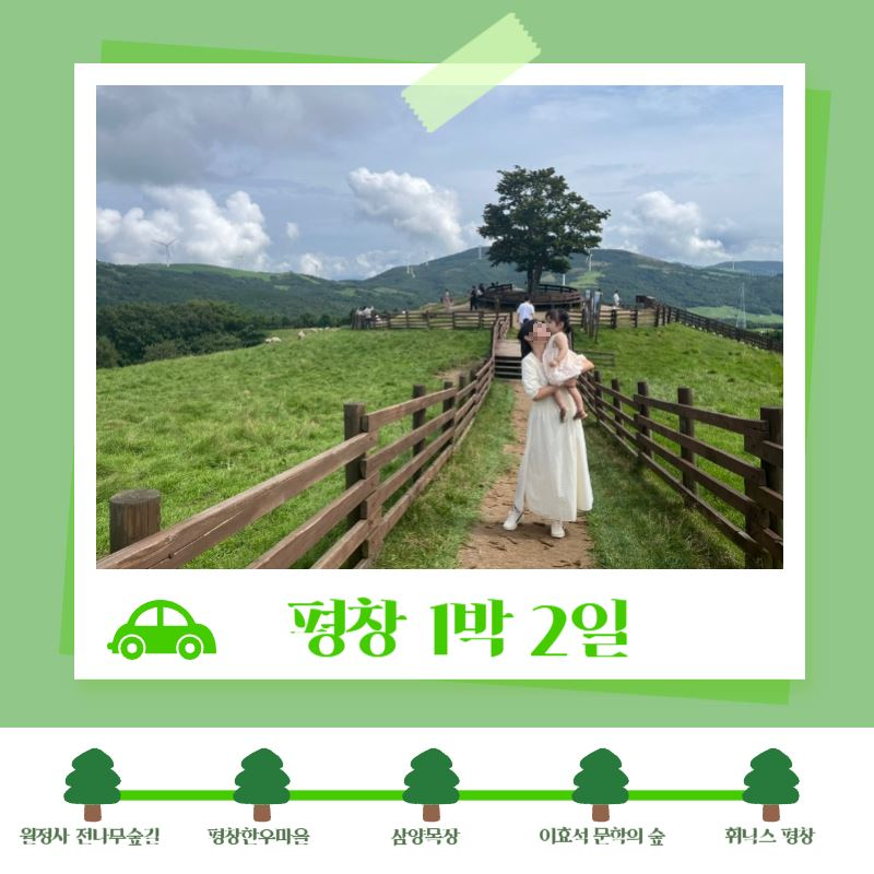  [3박 4일 강원도 1탄] 평창 1박 2일 여행 / 월정사 전나무숲길 - 평창한우마을 - 삼양목장 - 이효석 문학의 숲 - 휘닉스 평창