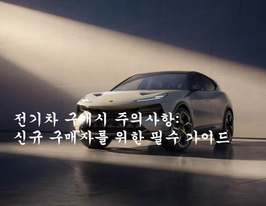  전기차 구매시 주의사항: 신규 구매자를 위한 필수 가이드