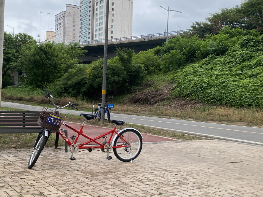 반포-한강공원-2인용자전거