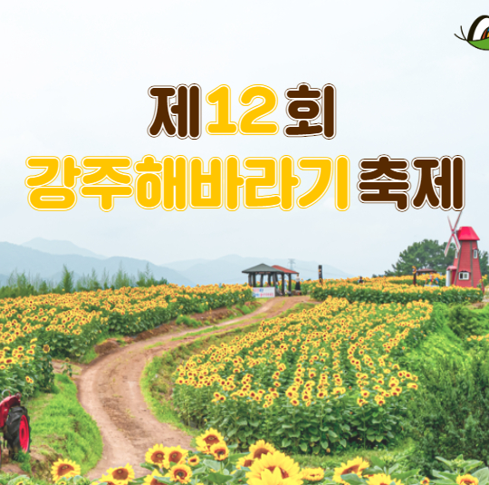 2024 강주해바라기 축제