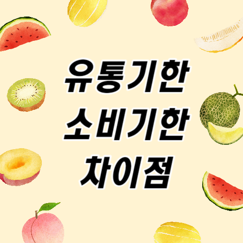 유통기한과 소비기한의 차이점